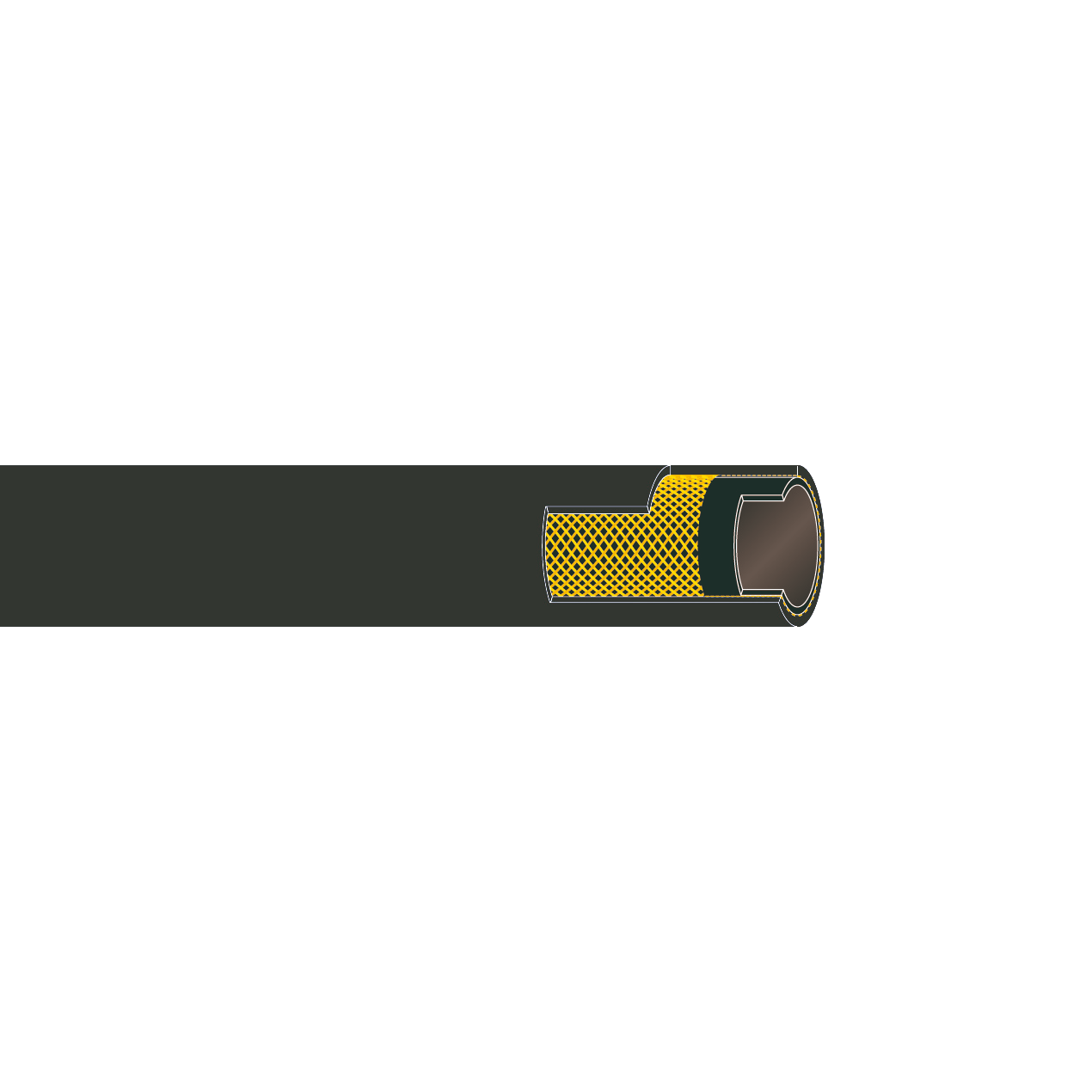 Spolslang